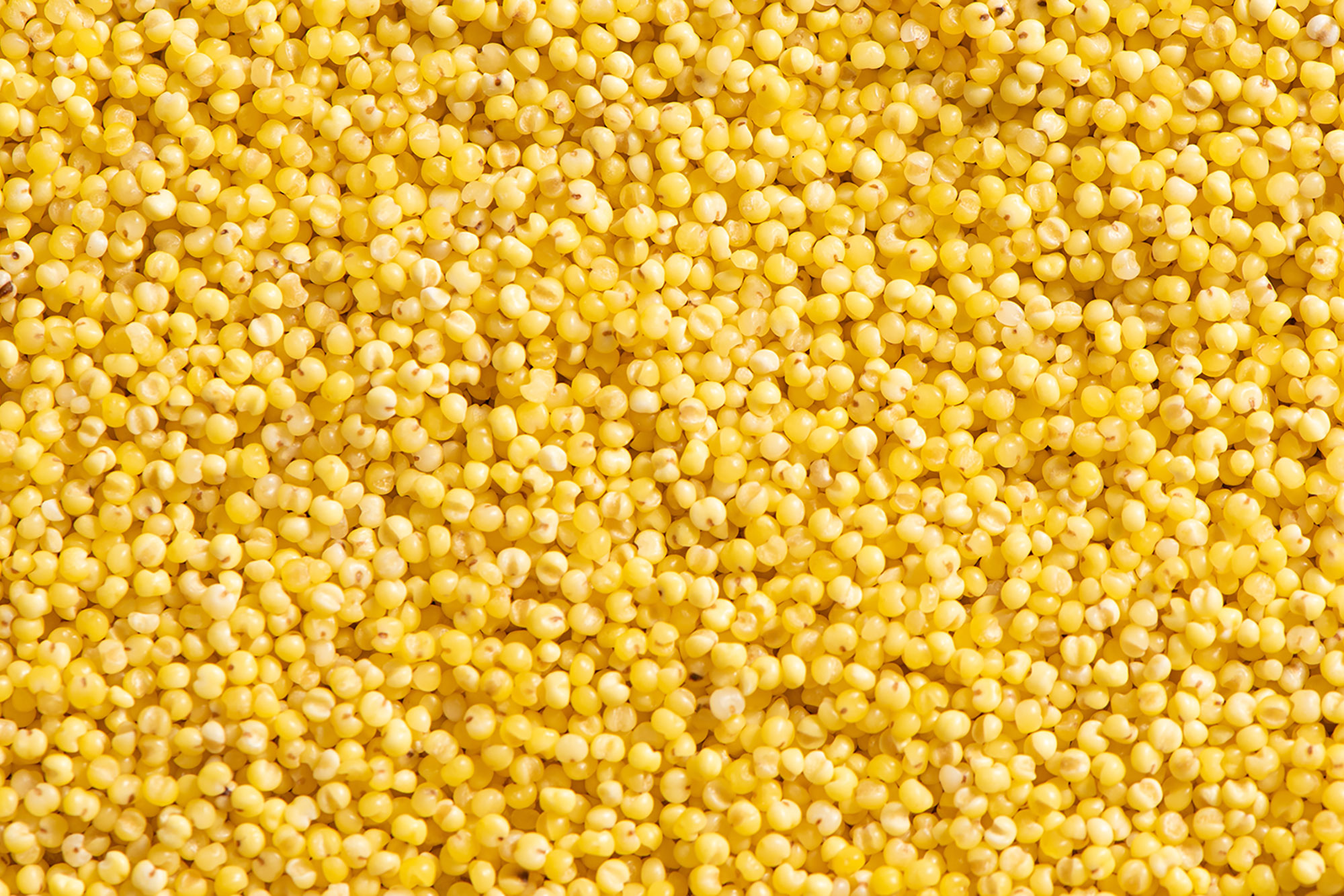 Millet